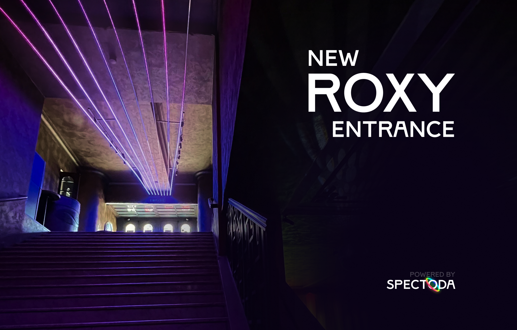 ROXY: lighting installations across the club