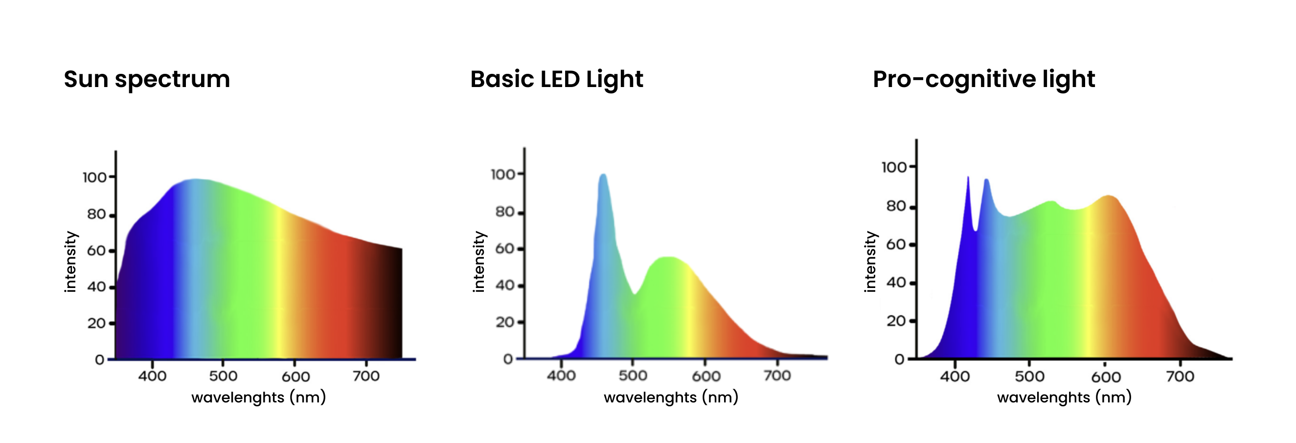 visible light spectrum